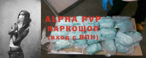 шишки Инсар