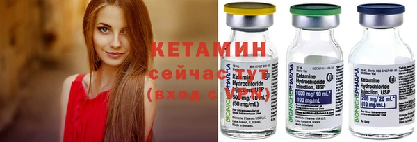 шишки Инсар