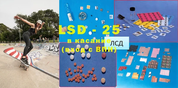 шишки Инсар