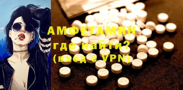 шишки Инсар