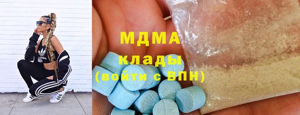 шишки Инсар