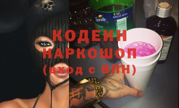 шишки Инсар