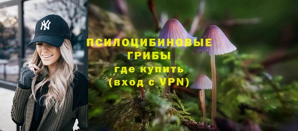 шишки Инсар